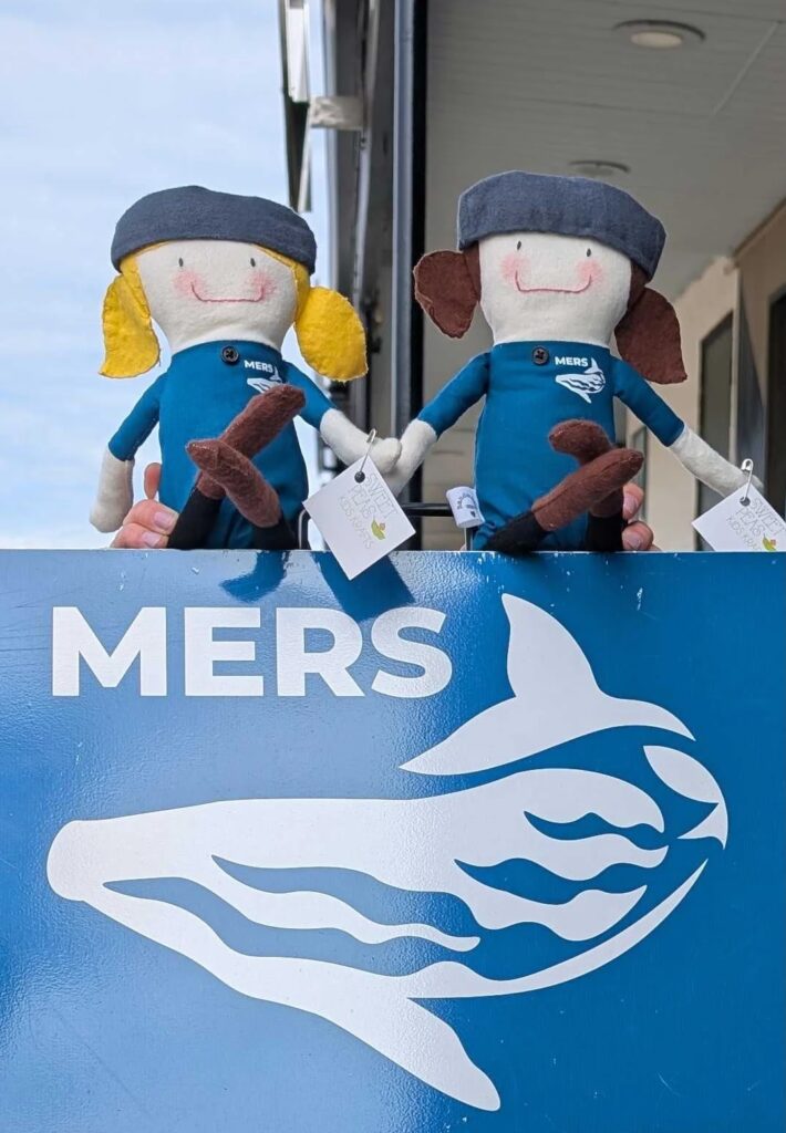 3N2NBDAJYLZR676BFSZ4WLZT